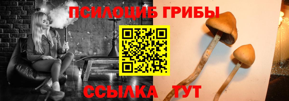 Галлюциногенные грибы GOLDEN TEACHER  Вход с VPN  Псилоцибиновые грибы Psilocybine cubensis  Шарыпово 